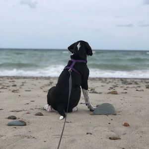 Meet your Posher, Tori